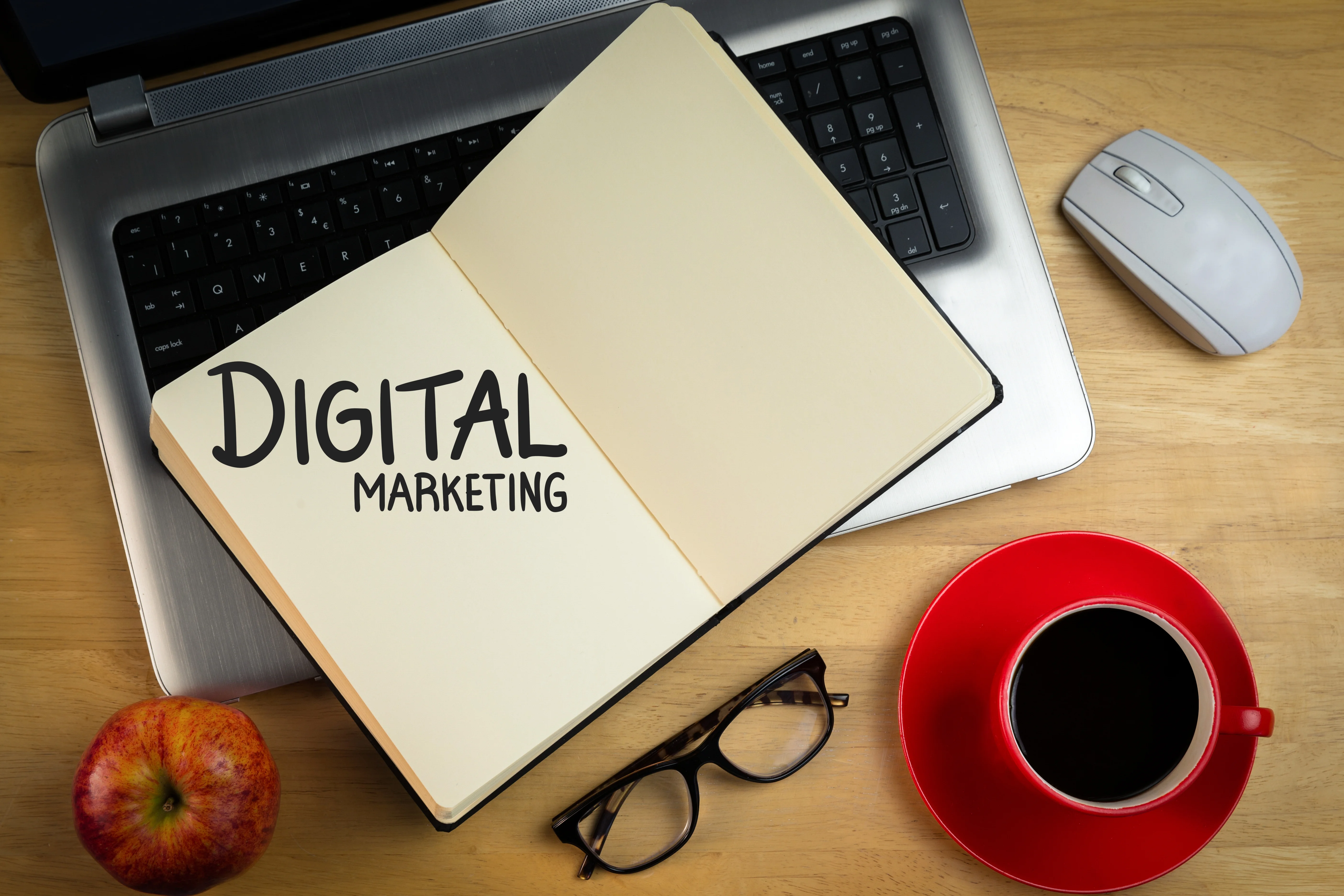 Digital campaign project highlight